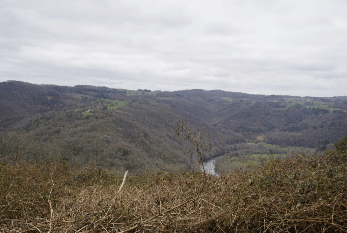 Forêt à vendre en Dordogne