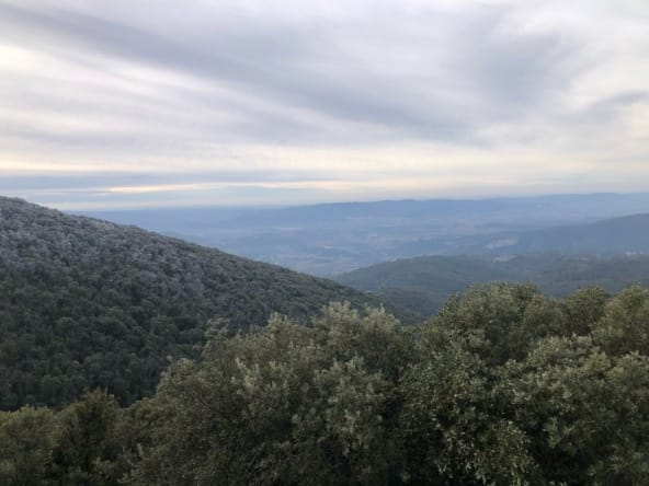 Territoire de chasse à vendre 290 hectares Vaucluse