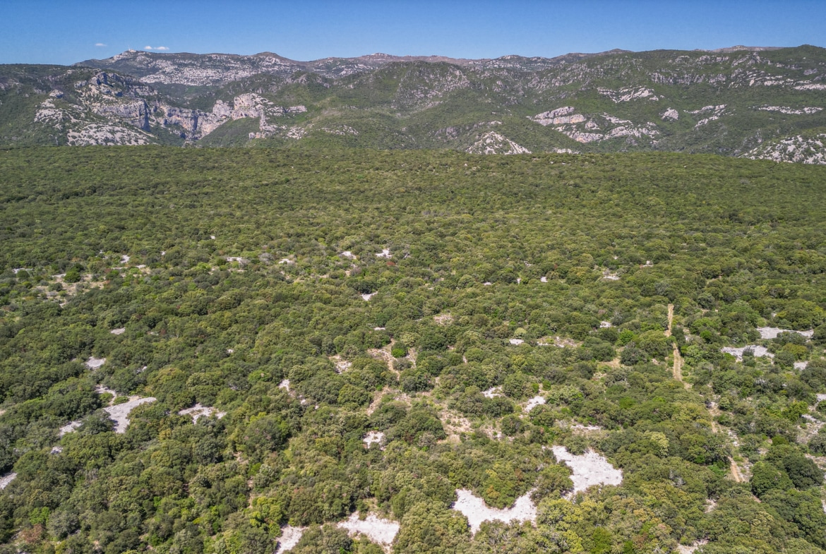 Forêt à vendre 51 hectares Hérault