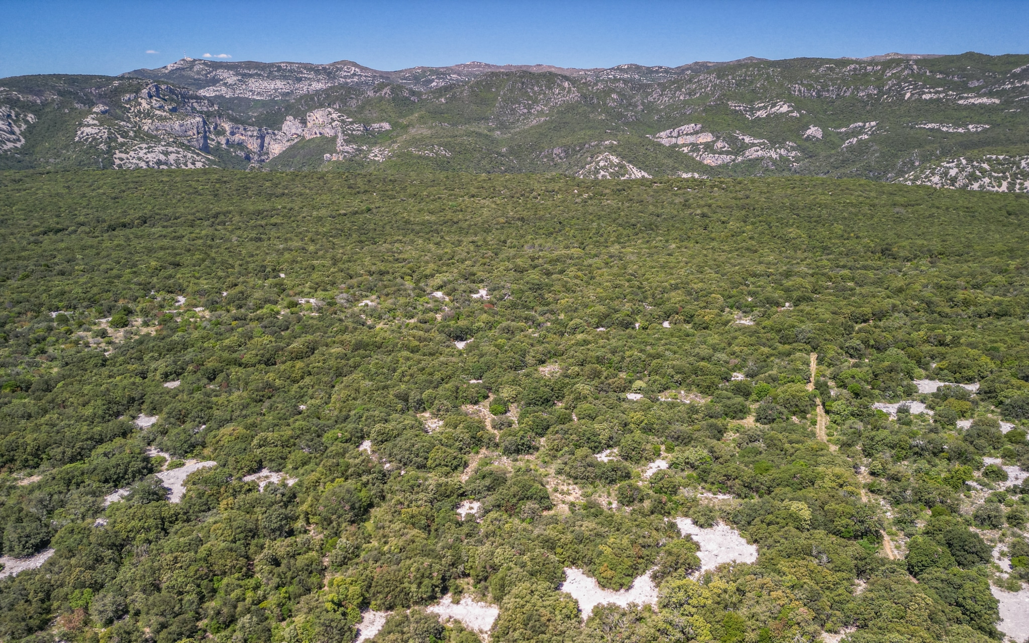 Forêt à vendre 51 hectares Hérault