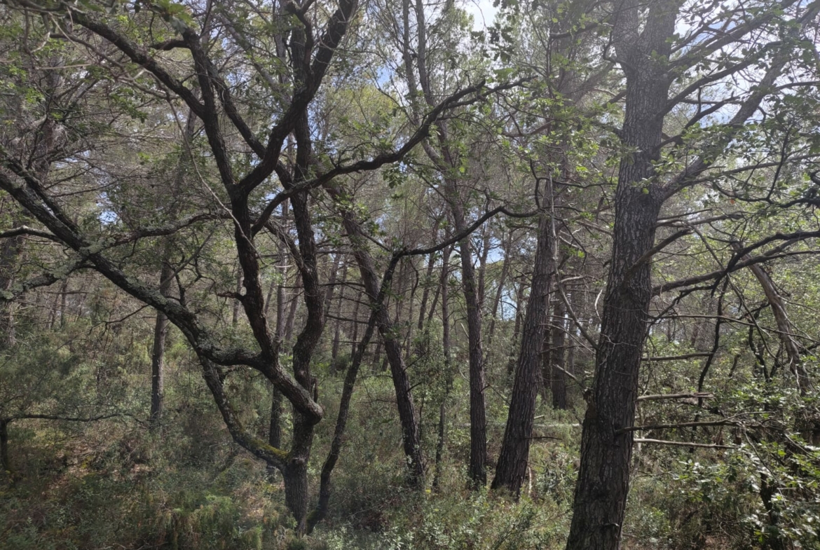 Propriété de 13,8 hectares à vendre dans l'Aude