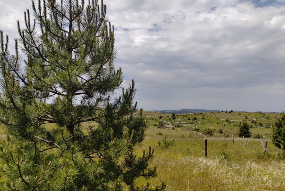 Terrain de loisir à vendre 9 hectares Causse Méjean