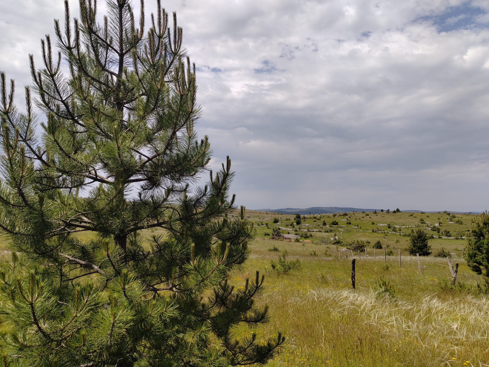 Terrain de loisir à vendre 9 hectares Causse Méjean