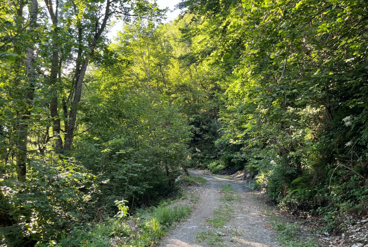 vente forêt mixte Savoie