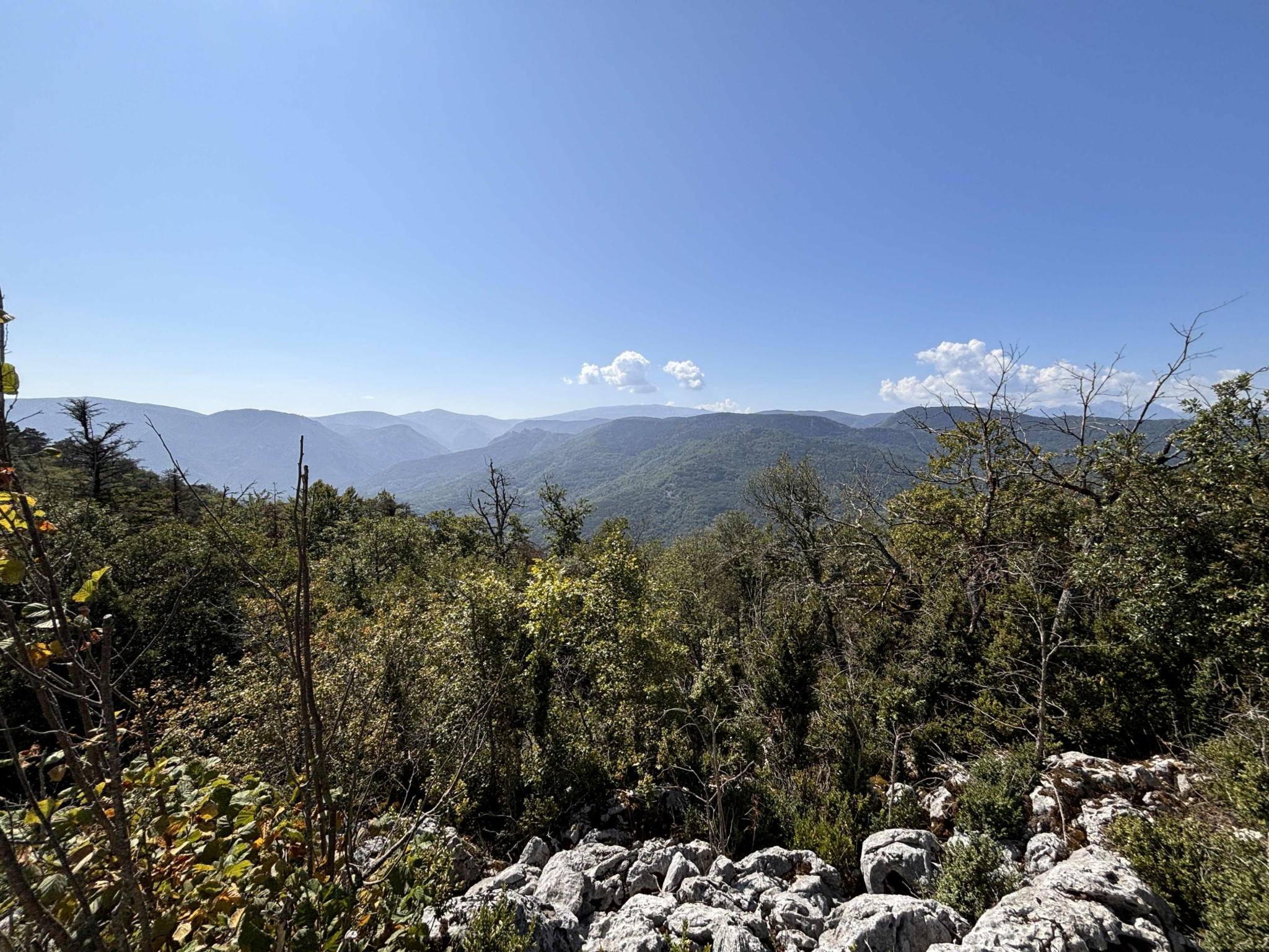 achat massif forestier Haute Vallée Aude