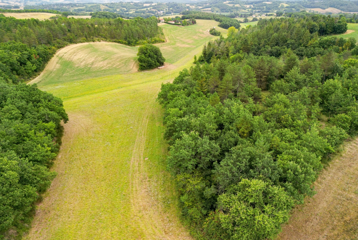 achat forêt mixte Gers