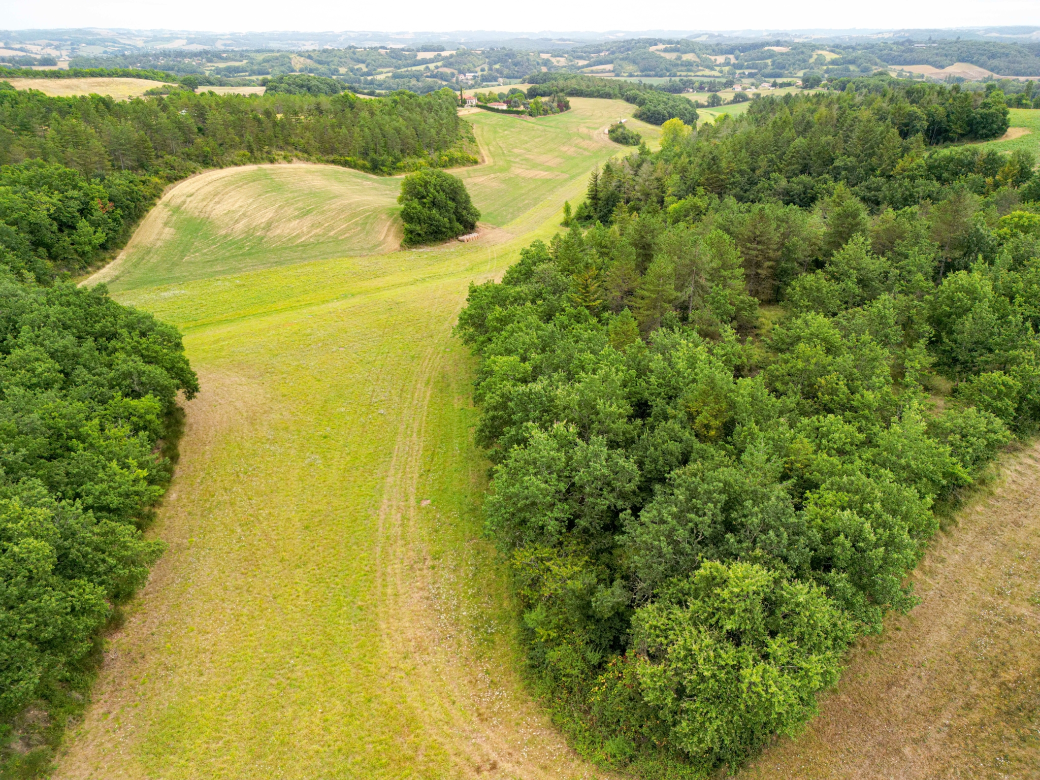 achat forêt mixte Gers