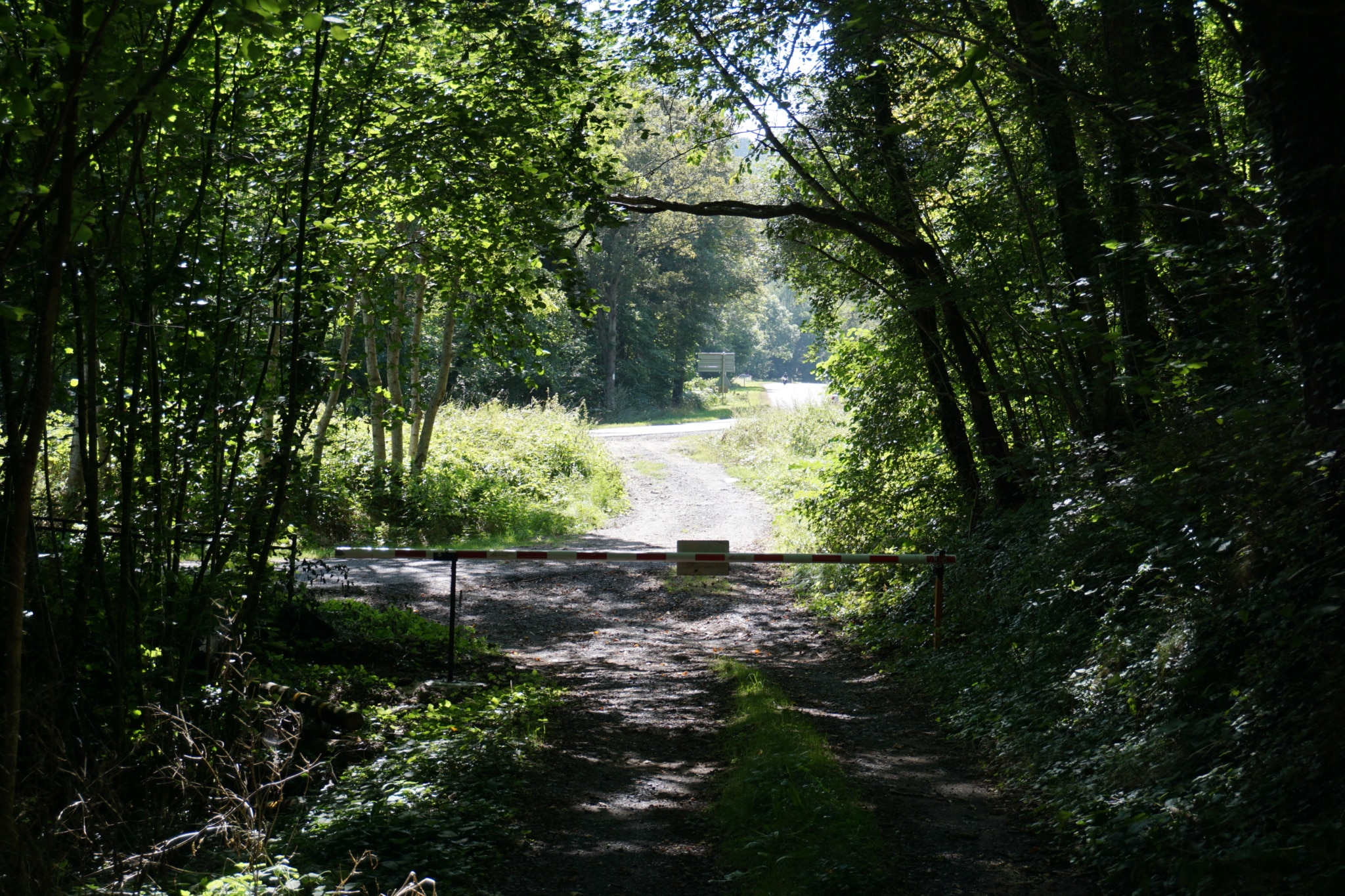 achat forêt Puy-de-Dôme