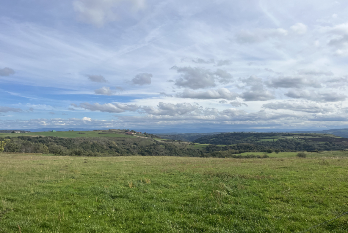 Achat forêt Haute-Loire