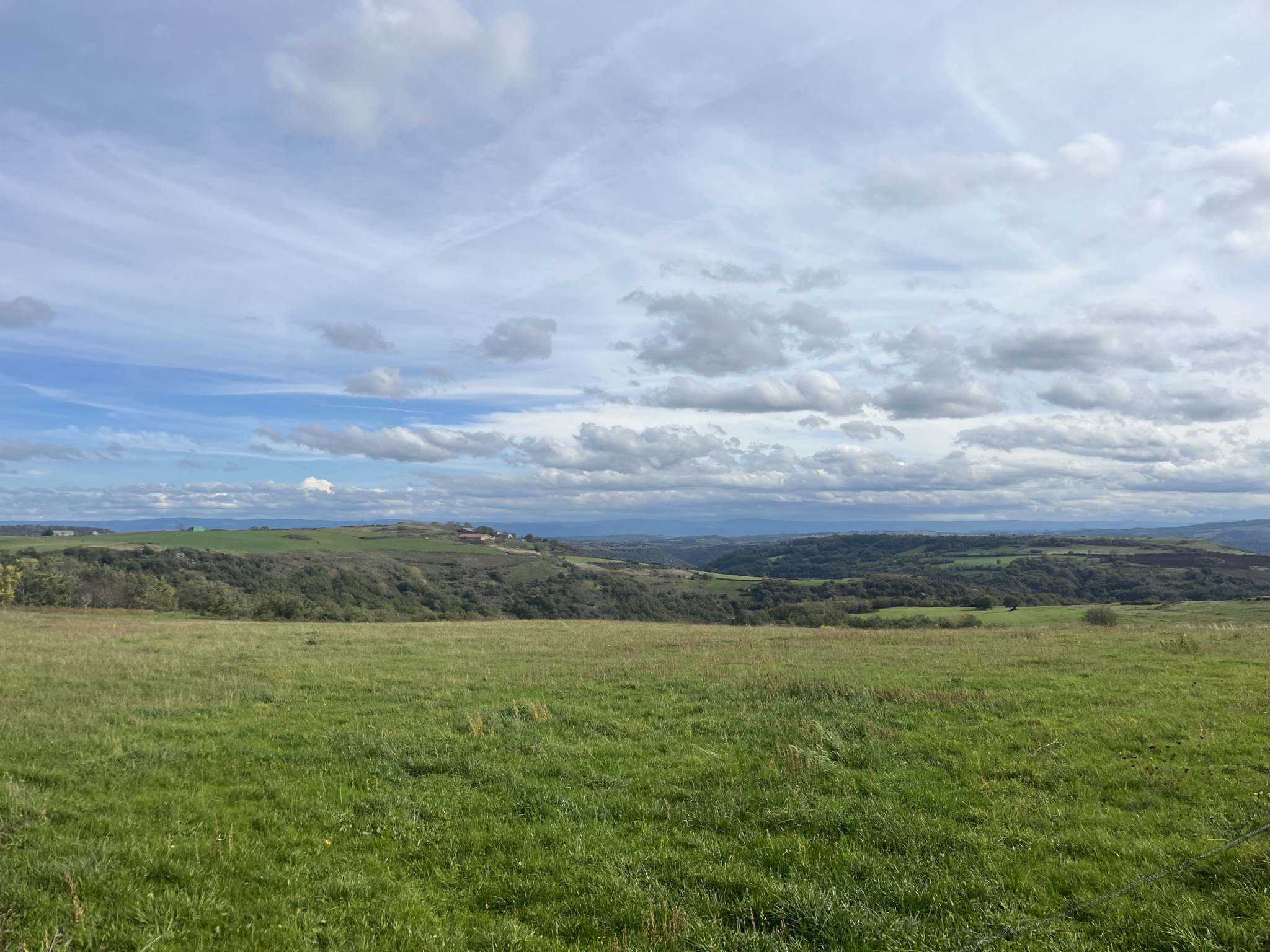 Achat forêt Haute-Loire