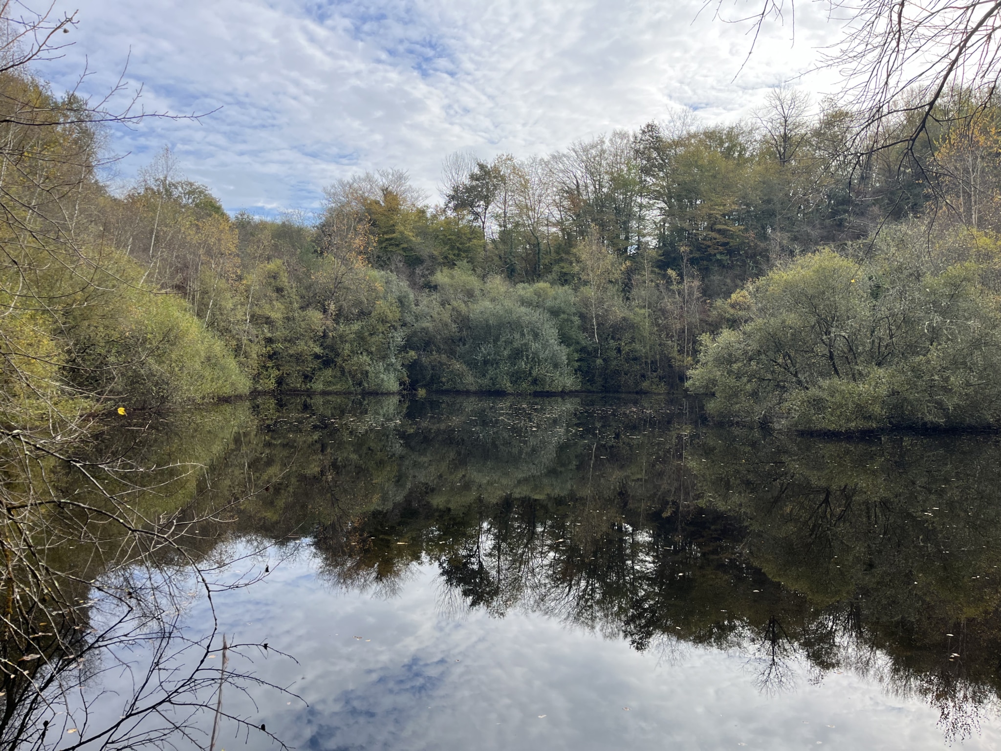 propriété rurale avec étang à vendre