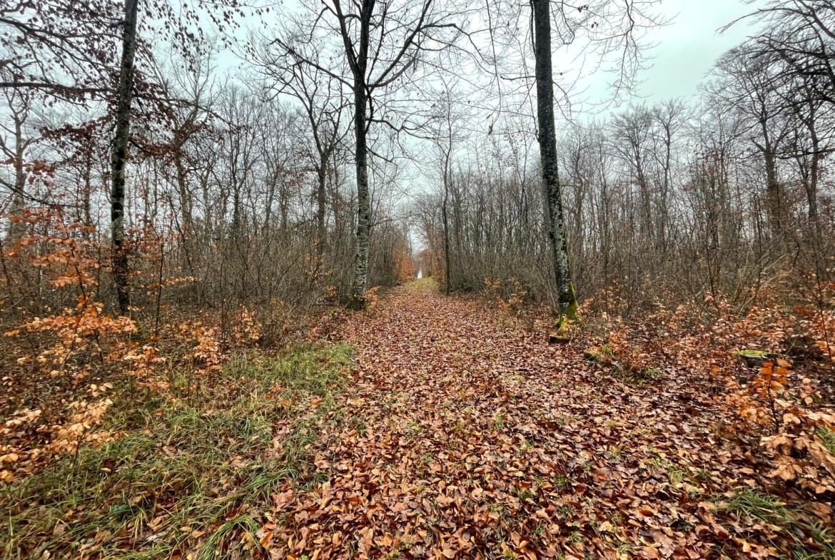 projet label bas-carbone Haute-Marne