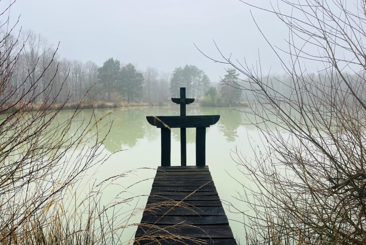 forêt et chasse Sologne