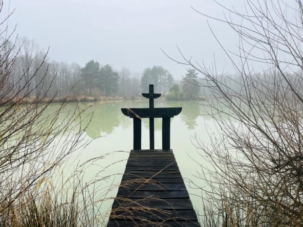 forêt et chasse Sologne