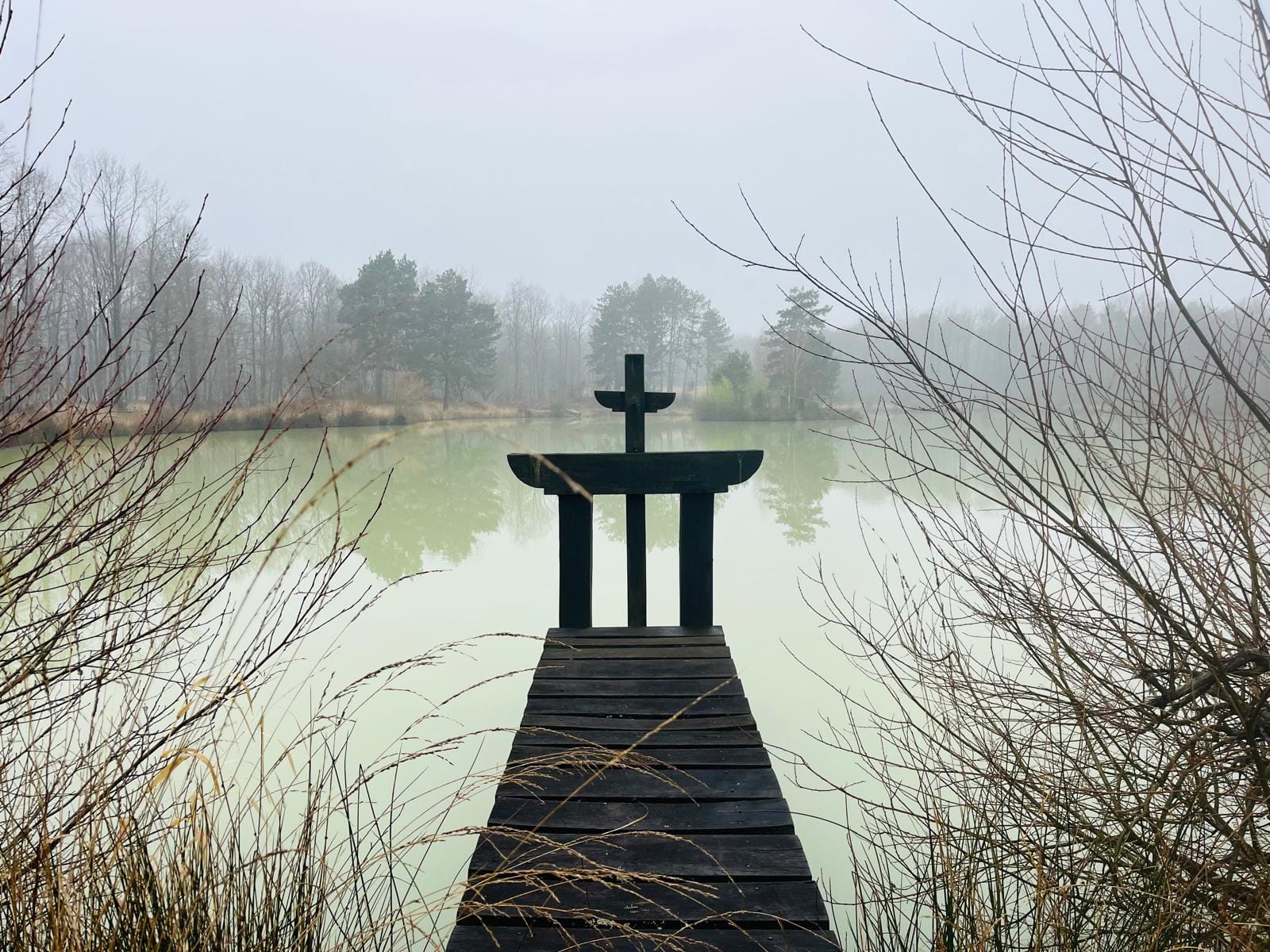 forêt et chasse Sologne