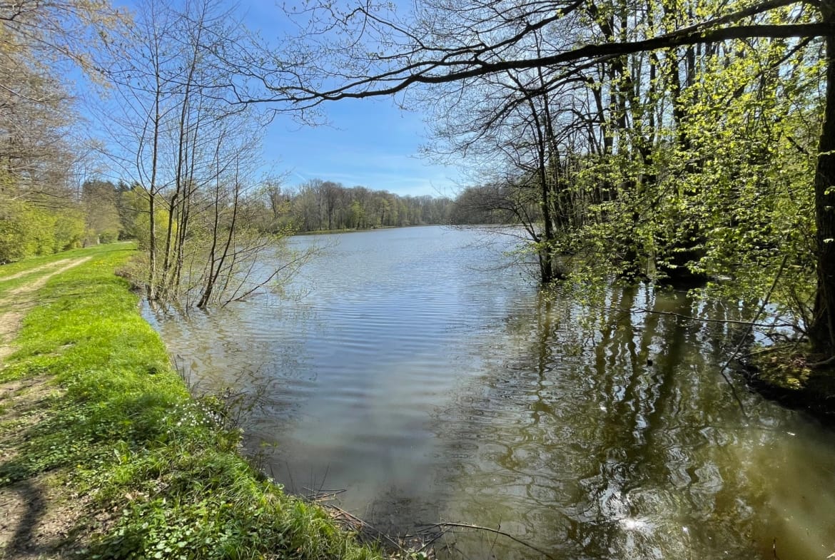 propriété d’étang forestier Alsace