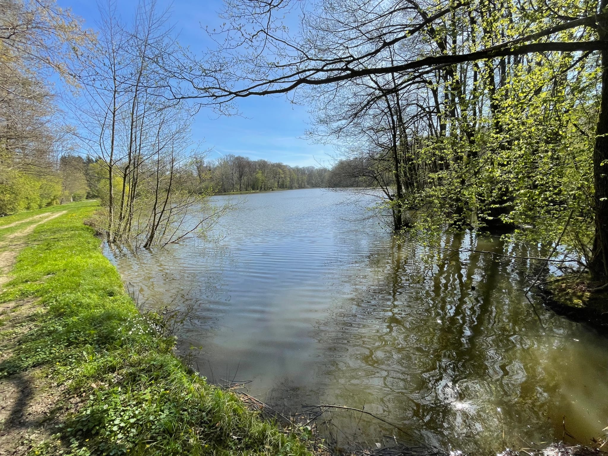 propriété d’étang forestier Alsace