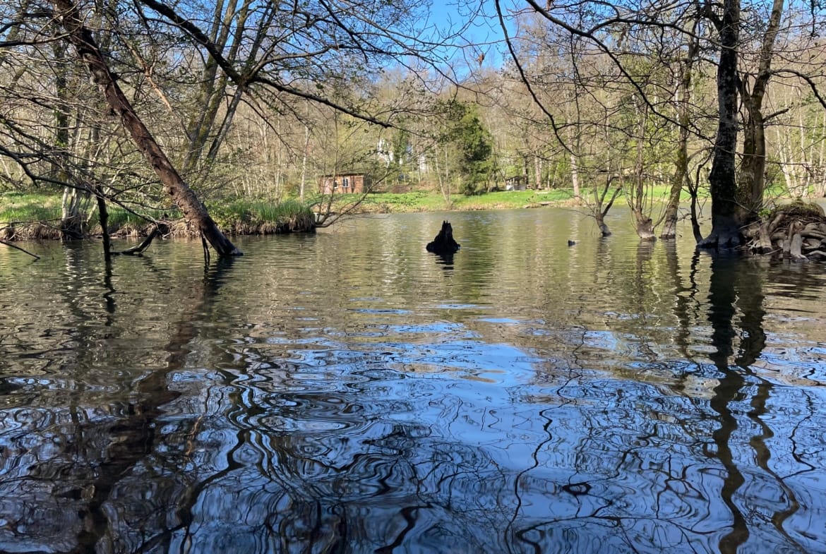 étang privé Sundgau Alsace