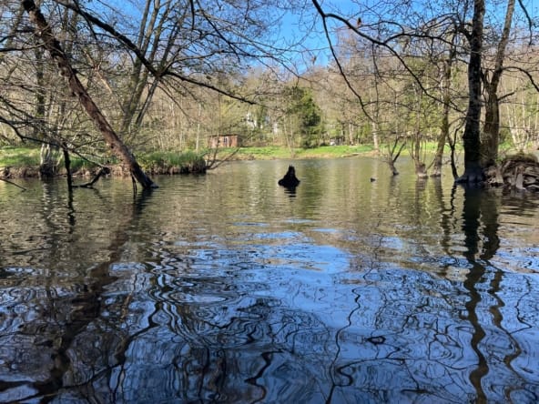 étang privé Sundgau Alsace