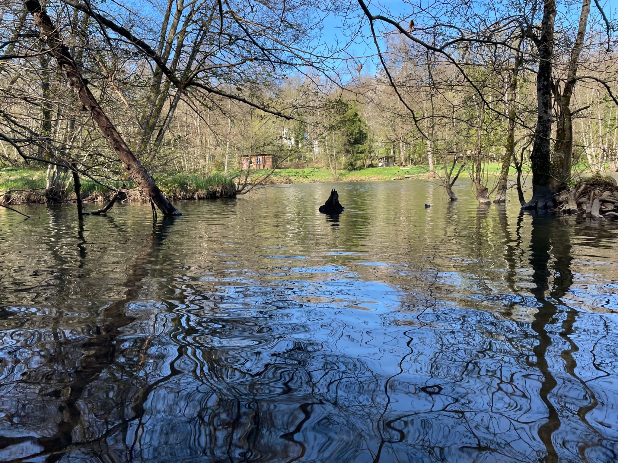 étang privé Sundgau Alsace