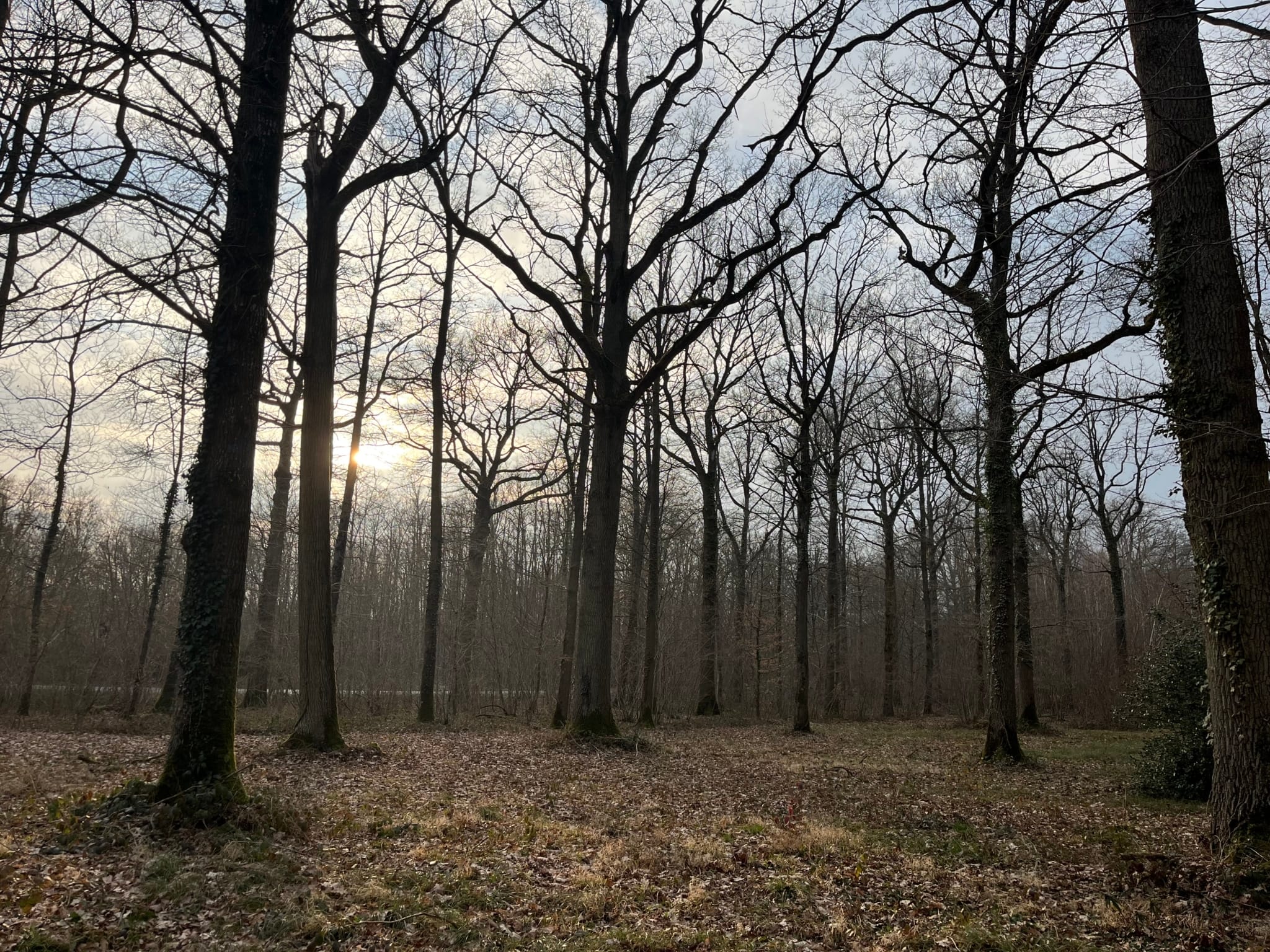 propriété forestière à vendre Île-de-France