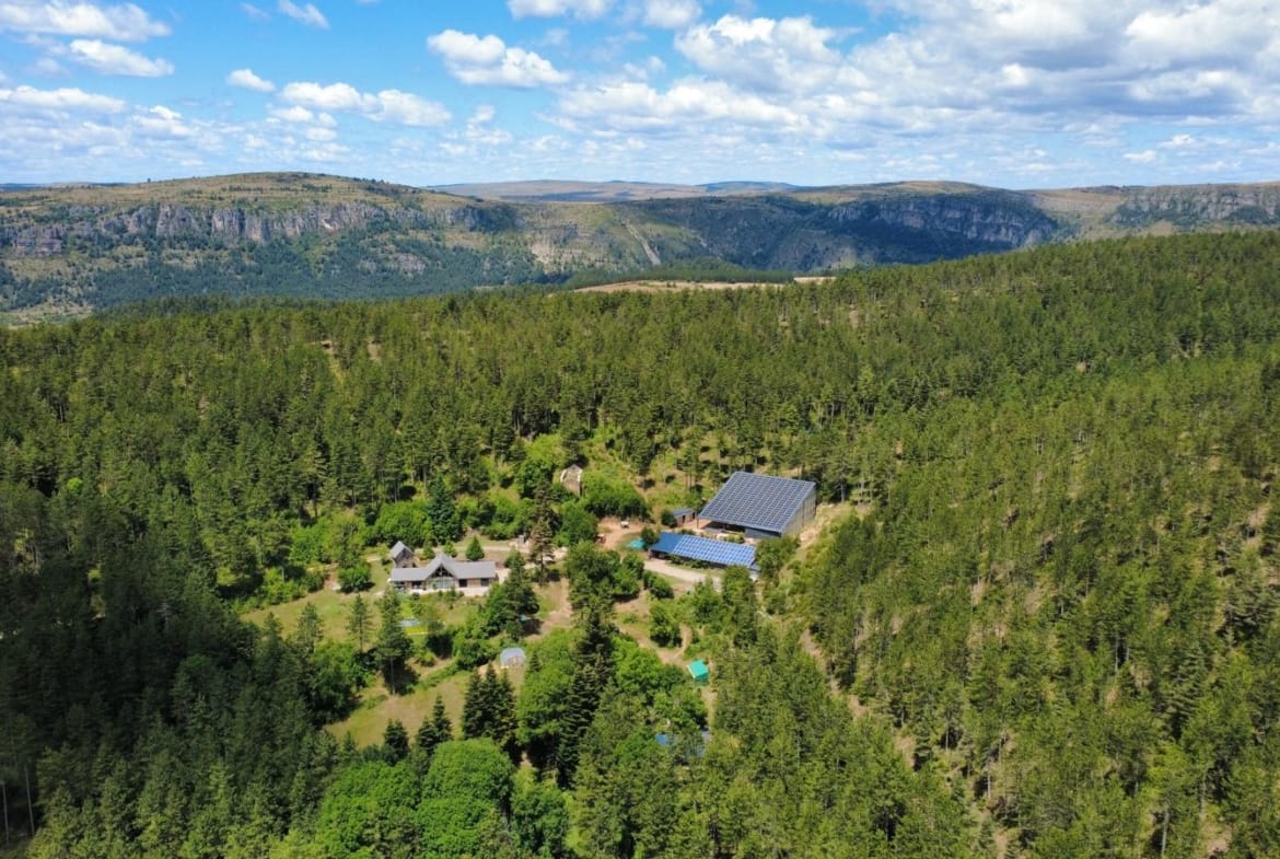 propriété forestière à vendre Cévennes