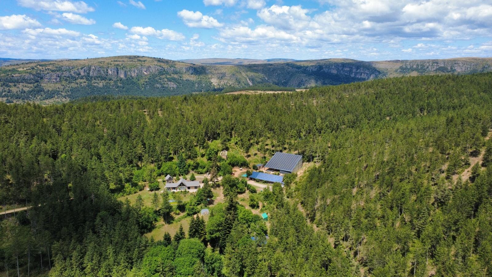 propriété forestière à vendre Cévennes