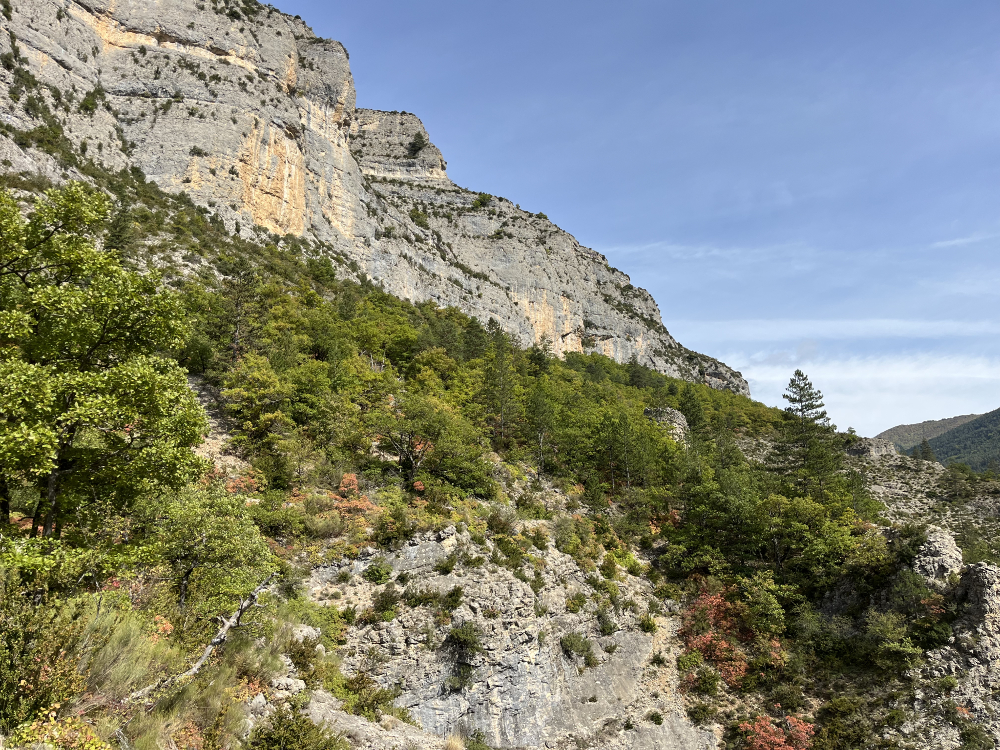 forêt à vendre Alpes-de-Haute-Provence