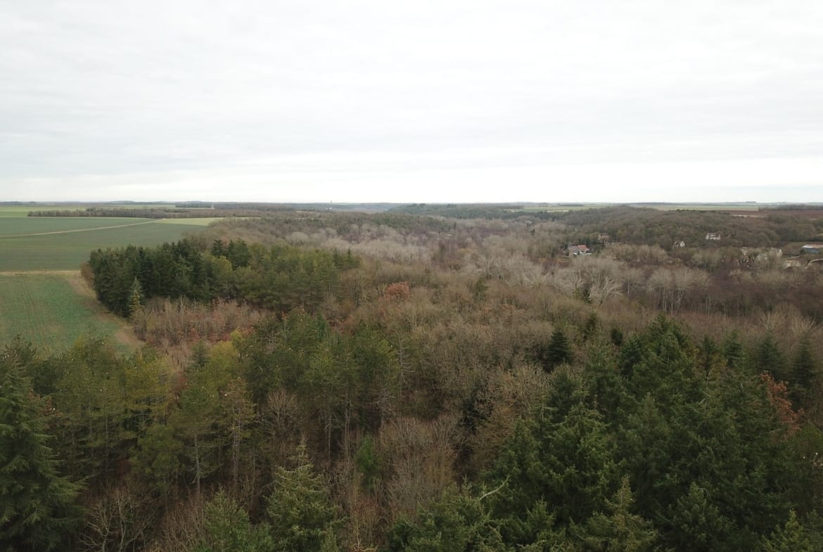 forêt à vendre proche Paris