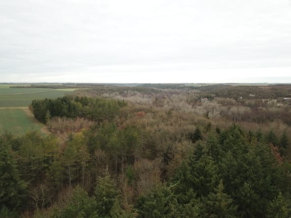 forêt à vendre proche Paris