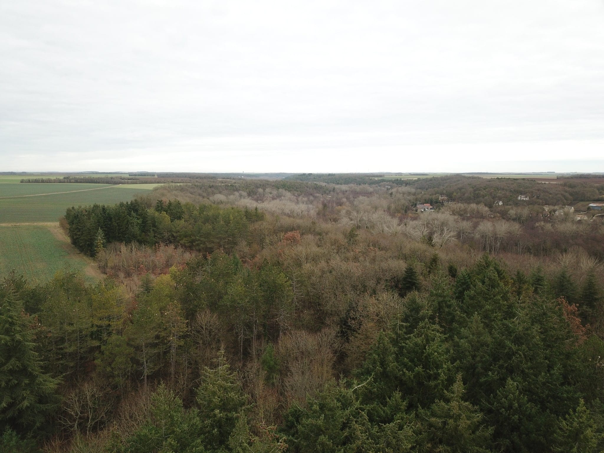 forêt à vendre proche Paris