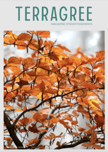 magazine d'investissements