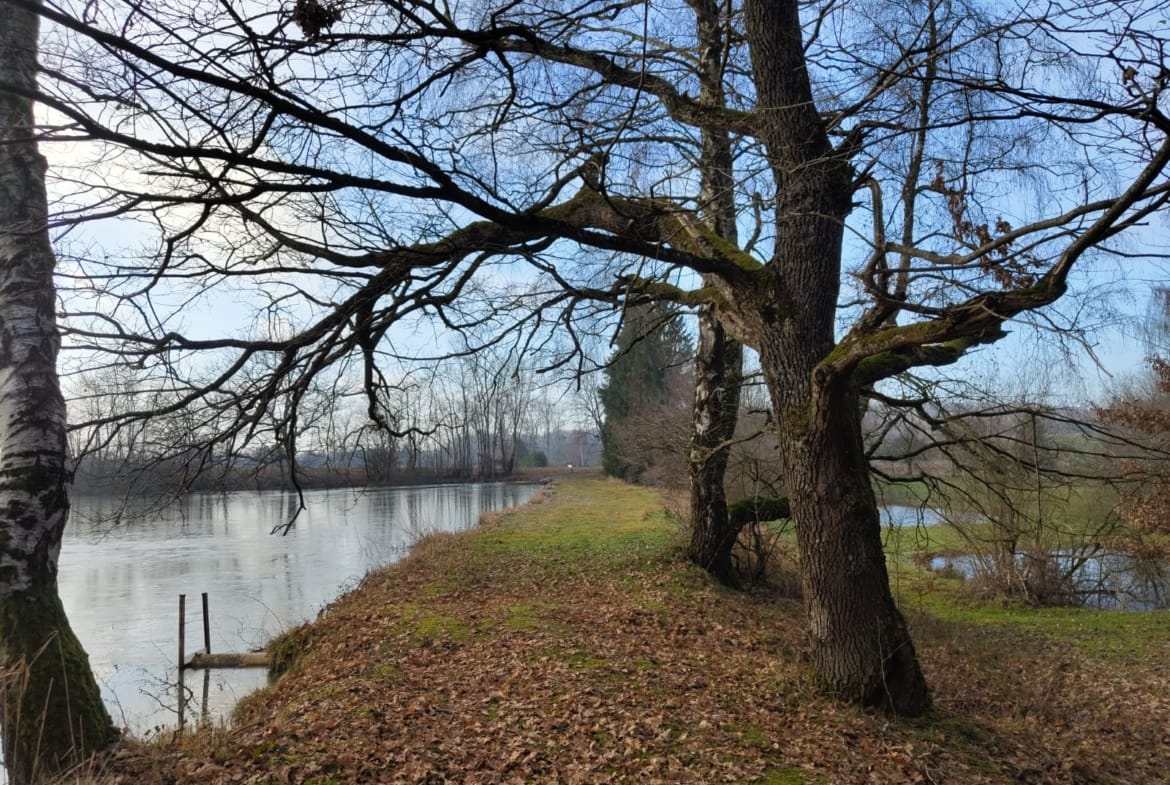 étang à vendre Alsace