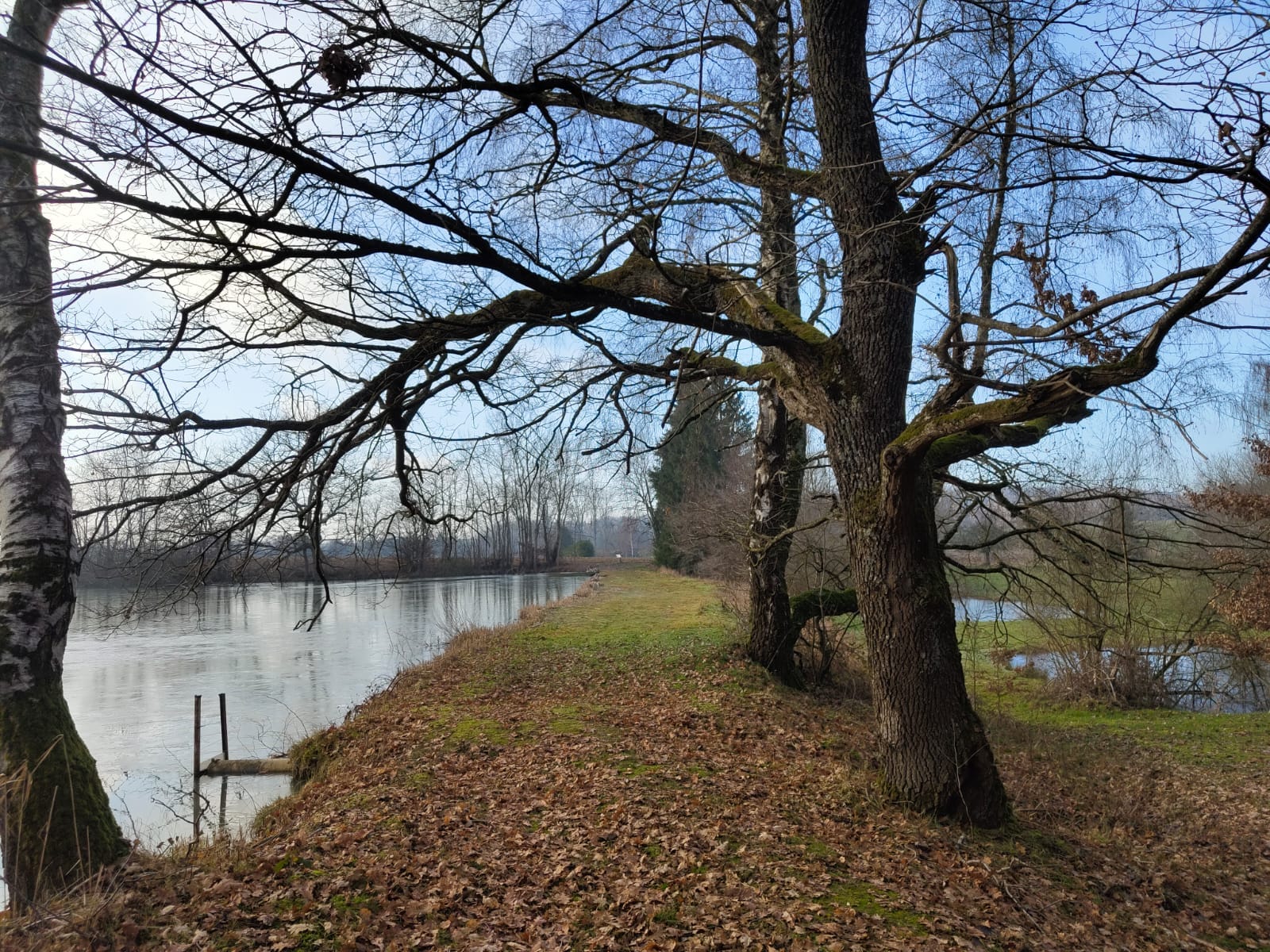 étang à vendre Alsace