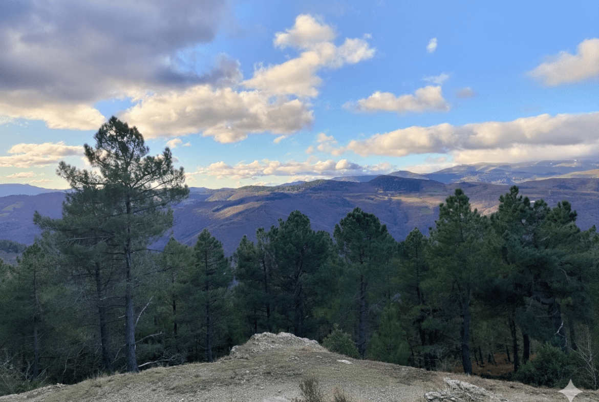 propriété forestière Cévennes