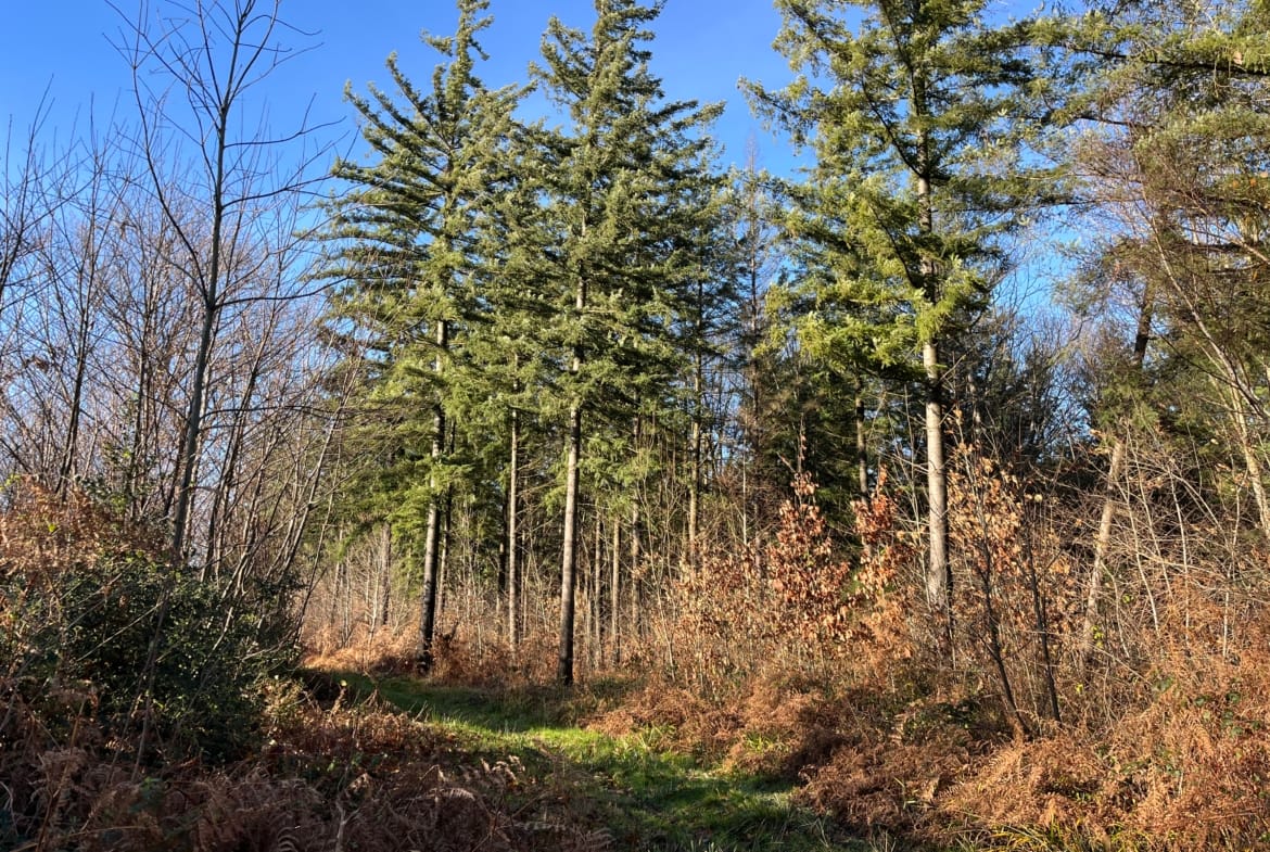 domaine rural à vendre Lyon Genève