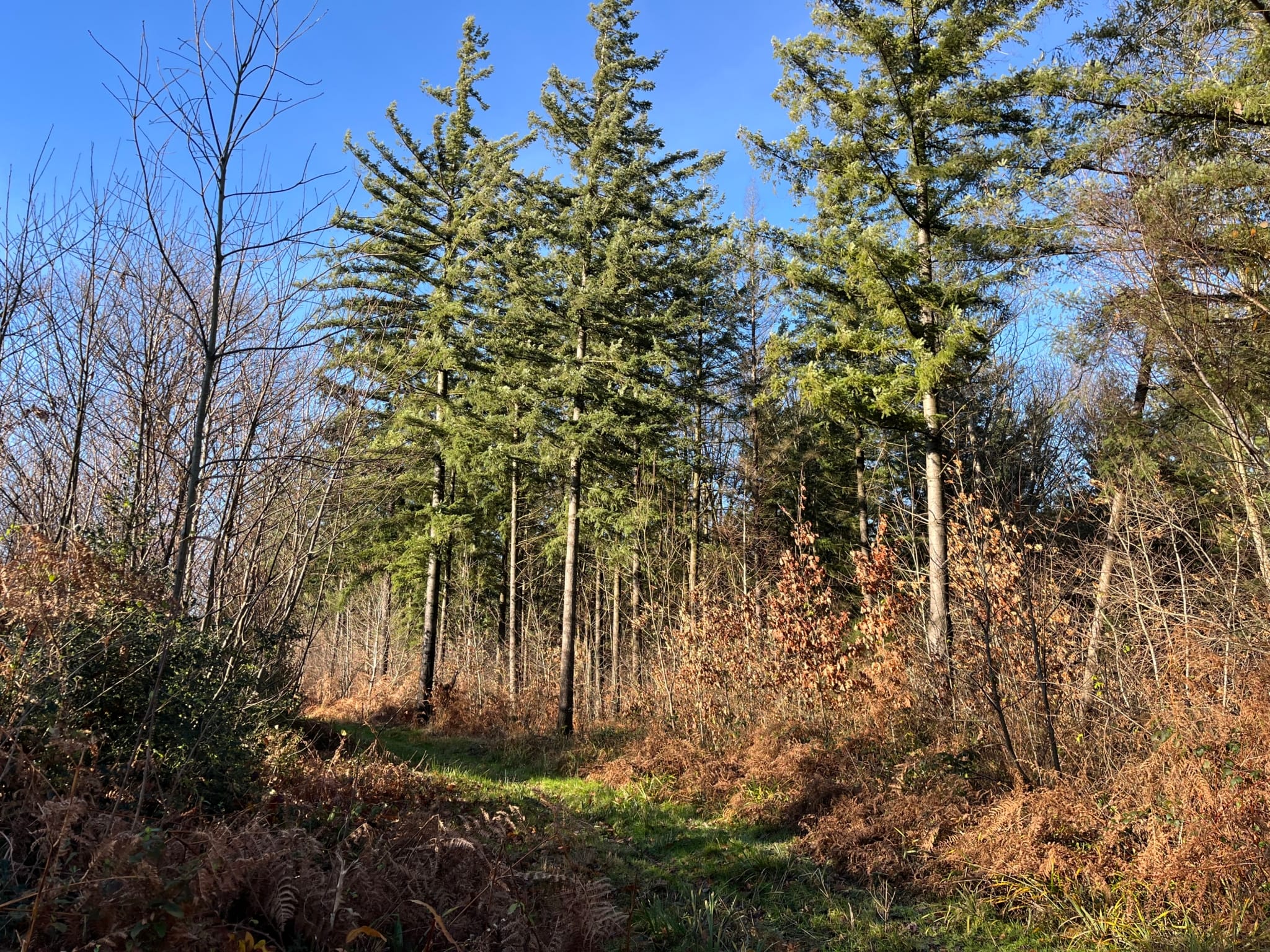 domaine rural à vendre Lyon Genève