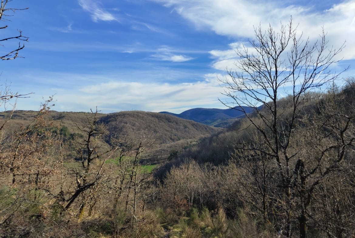 forêt à vendre Aveyron bergerie