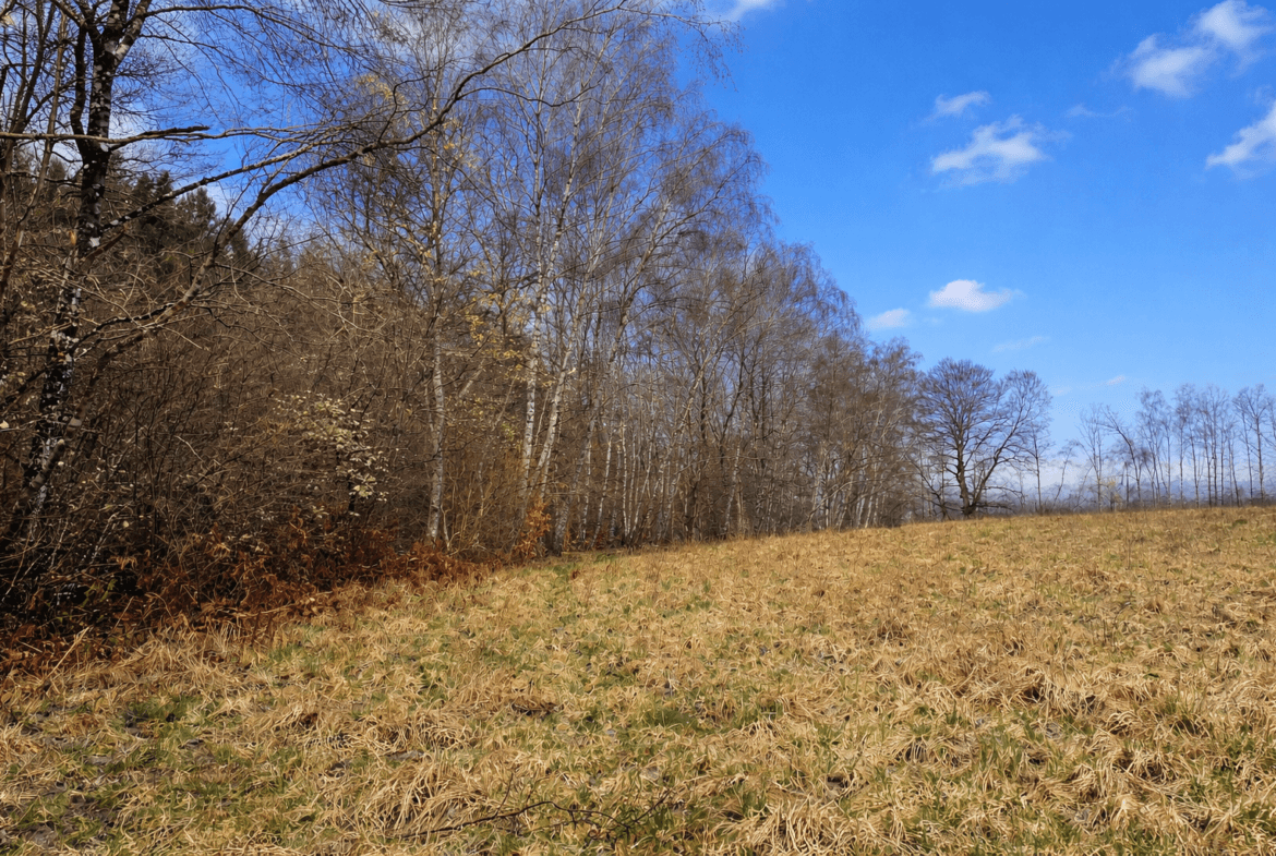 terrain à boiser Limousin