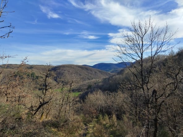 forêt à vendre Aveyron bergerie