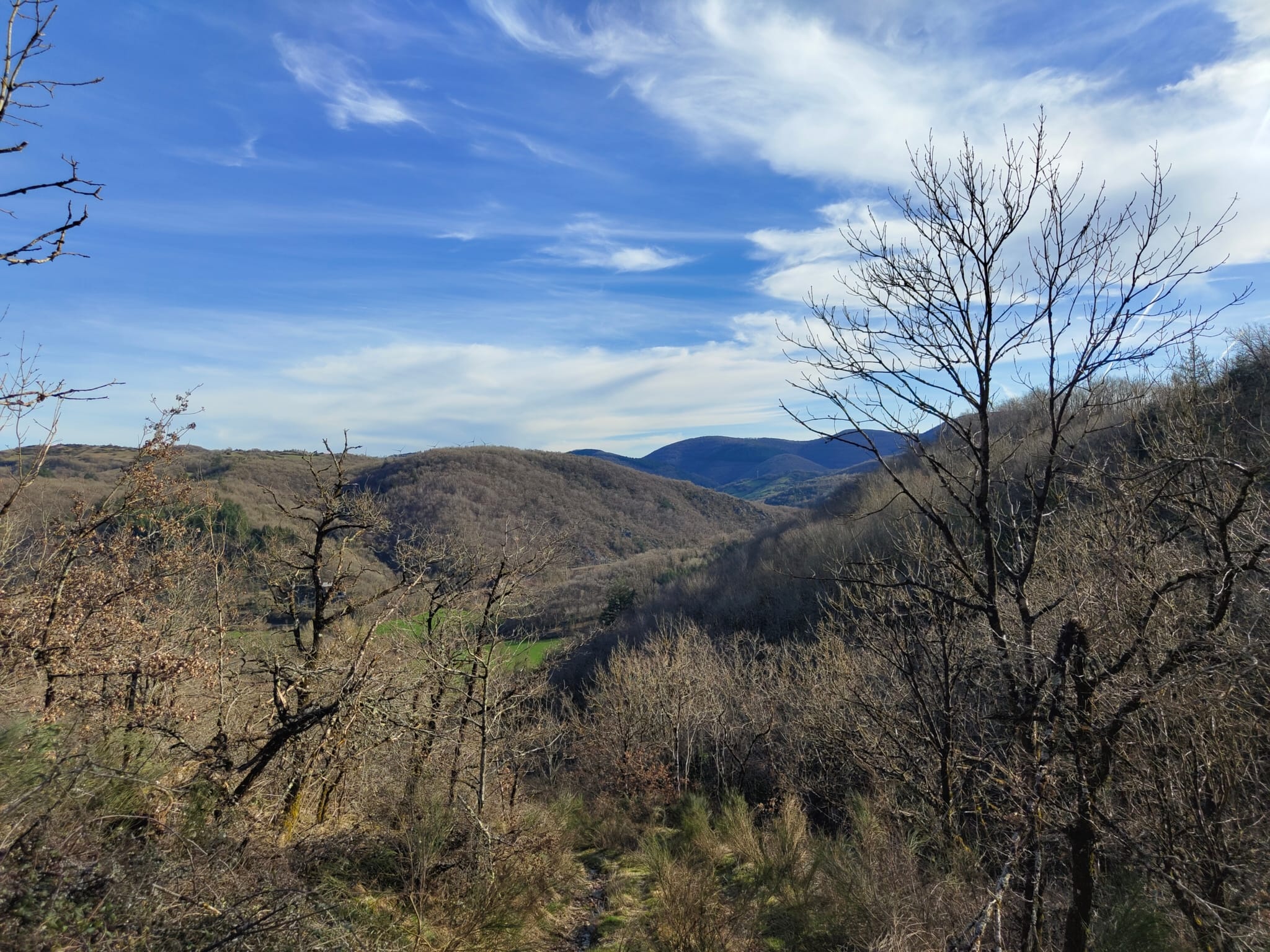 forêt à vendre Aveyron bergerie