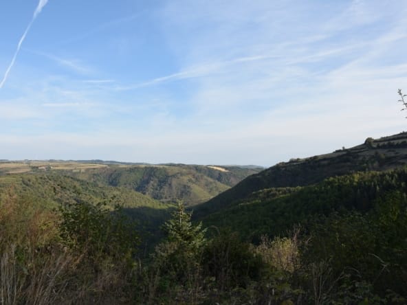forêt à vendre Haute-Loire Margeride