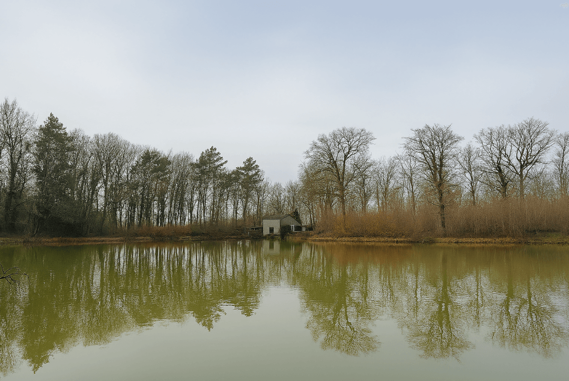 étang à vendre forêt d’Orléans