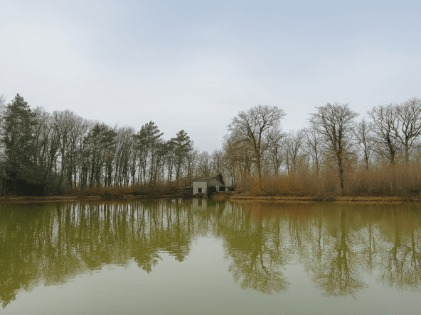 étang à vendre forêt d’Orléans