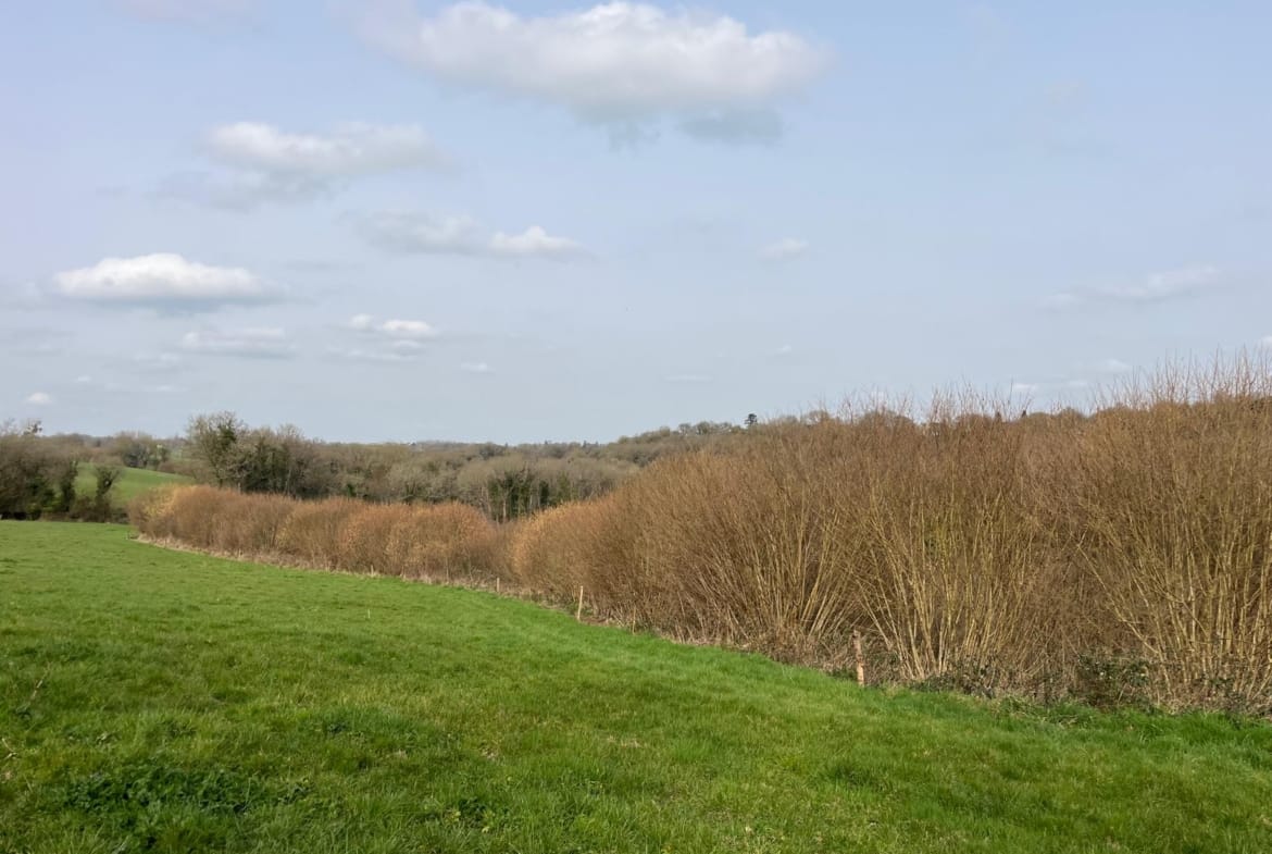 terrain forestier à vendre Côtes-d’Armor