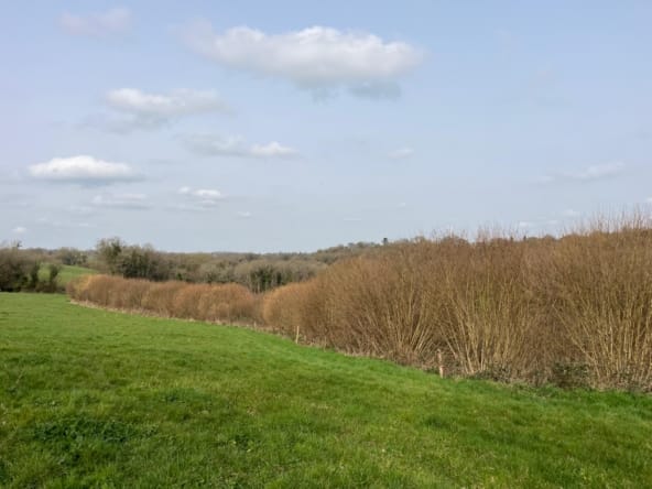 terrain forestier à vendre Côtes-d’Armor