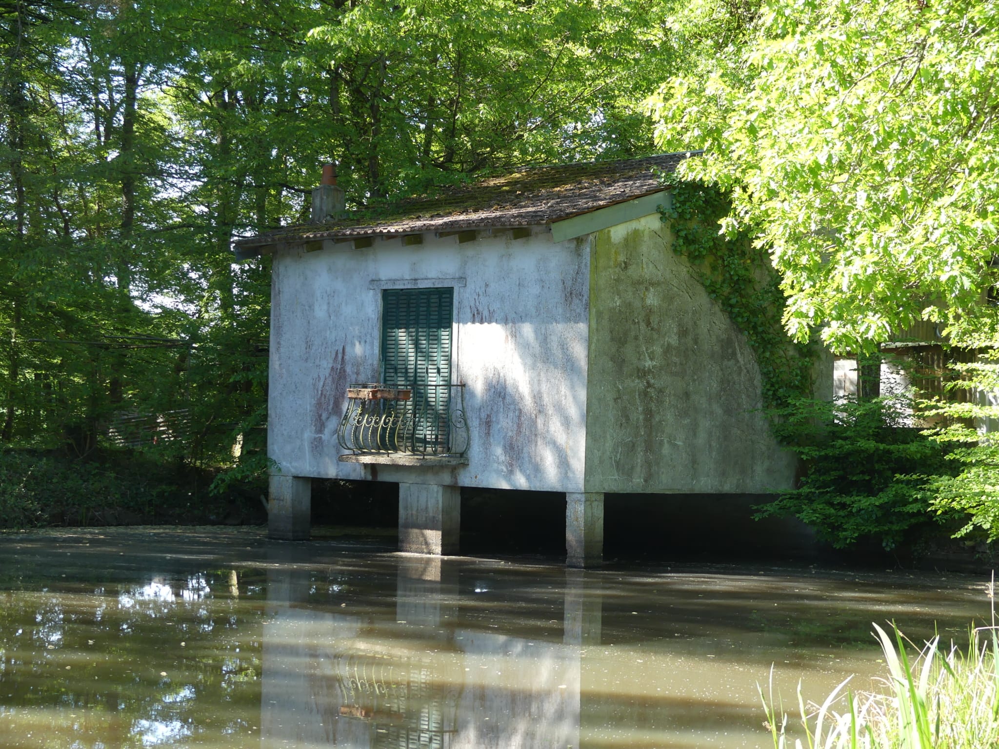 étang à vendre forêt d’Orléans