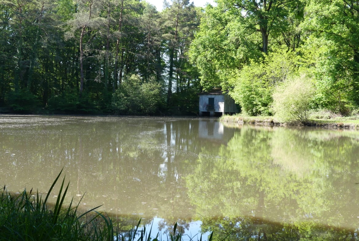 étang à vendre forêt d’Orléans