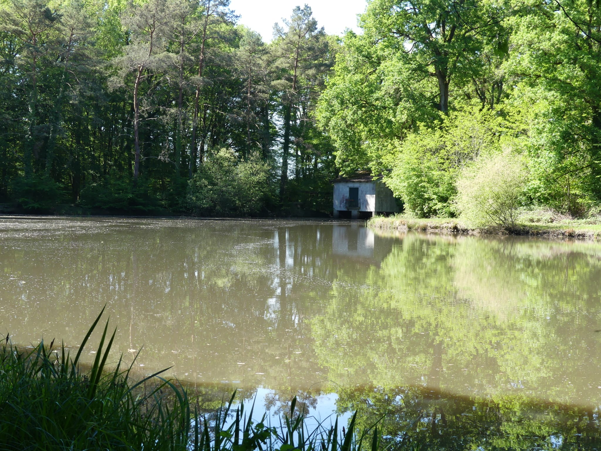 étang à vendre forêt d’Orléans