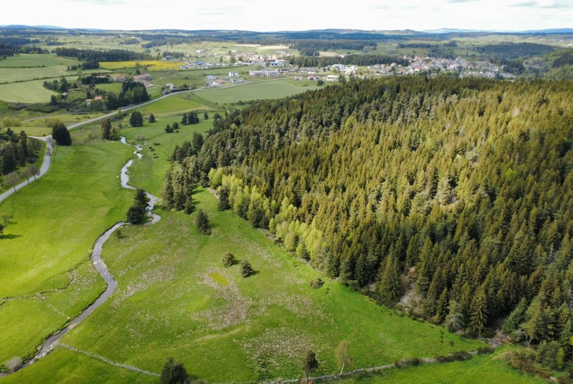 forêt de production Margeride